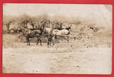 CHESHIRE ELLESMERE PORT