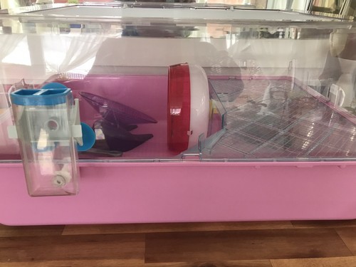 Ferlast mini duna 55x39x27cm - ferlast,