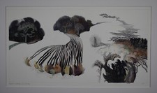 Recollections of a Winter Day