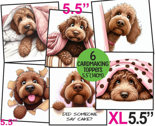 Labradoodle funny card toppers - funny,