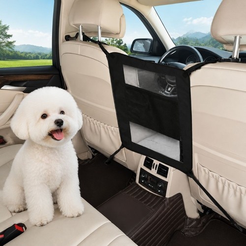 Pet dog car - dog, isolation
