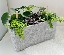 Concrete Flower Pot LARGE Trough Home Decor Modern Plant Pots Indoor Garden