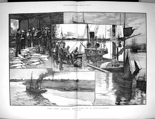 Old 1890 fish market - fish, trawler