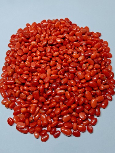 Red coral oval beads - coral,
