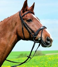 Kieffer Perseus Snaffle Bridle