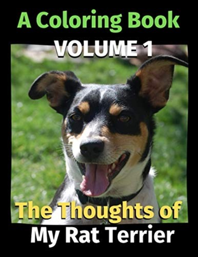 The thoughts rat - the, of