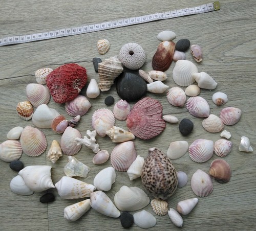 Mixed tropical sea - tropical,