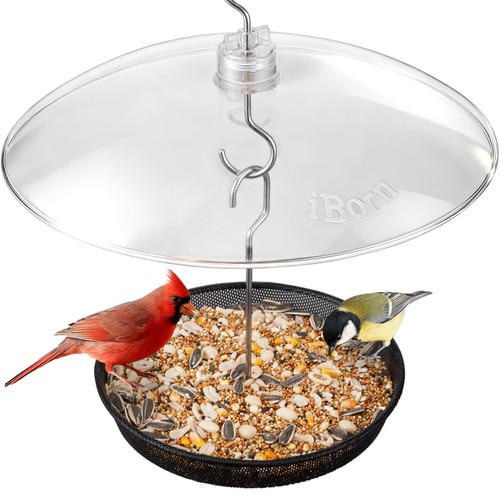 Hanging bird feeder - bird,