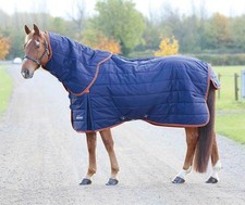 Shires Highlander 100g stable