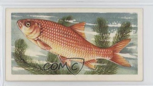 1960 brooke bond freshwater - 1960,