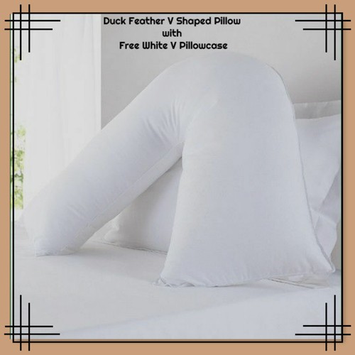 Duck feather shaped - feather, v
