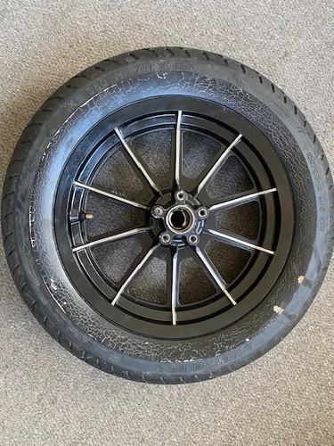 Harley davidson ten spoke cast - ten,