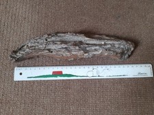 Piece of Petrified Fossil Wood Specimen 0.88kg 25cm length