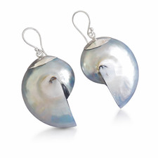 Grey Nautilus Shell 925