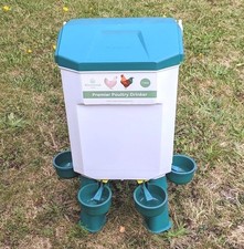 Chicken Poultry Feeder Drinker