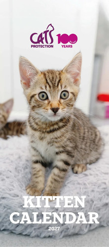 Kittens calendar 2027 cats - kittens,