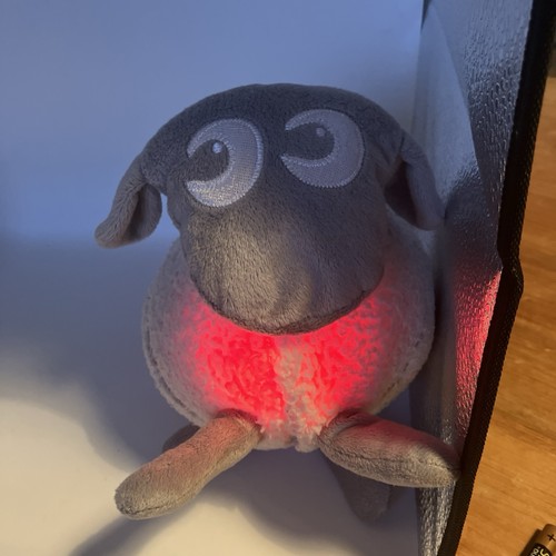 Ewan the dream sheep - ewan,