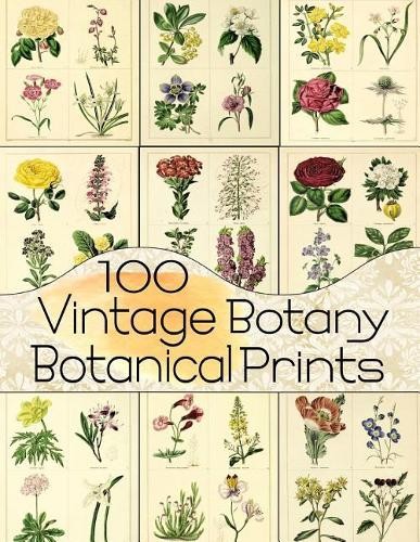 Anders 100 vintage - 100, botany