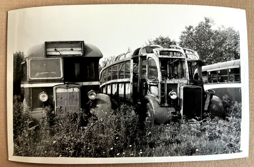 Photograph vaggs - vaggs,