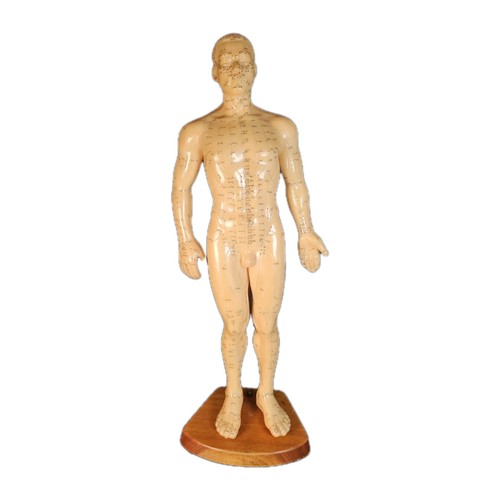 Vintage acupuncture male - vintage,