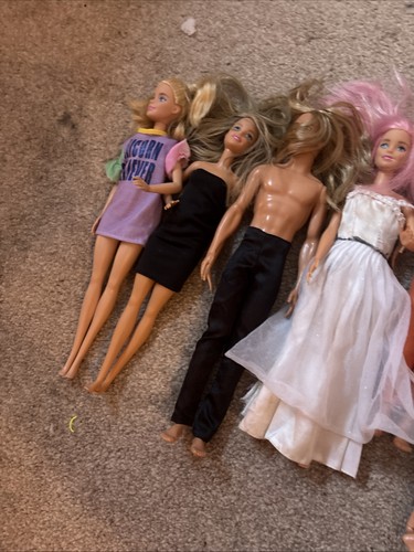 Barbie and ken doll bundle - ken,