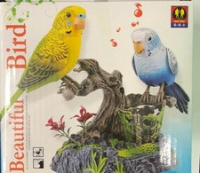Beautiful talking birds - talking,