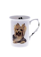 HAND DECORATED SINGLE BONE CHINA BEAKER/ MUG YORKIE YORKSHIRE TERRIER dog 