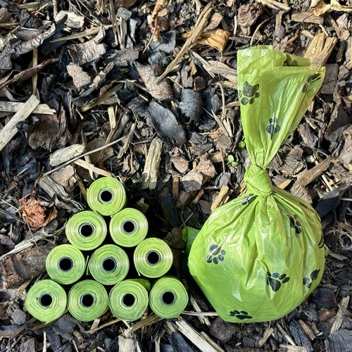Green puppy poo - puppy, large
