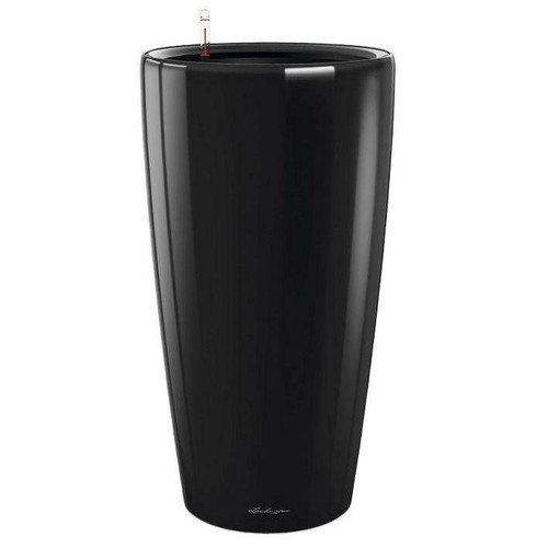 Tall large indoor and - large, outdoor