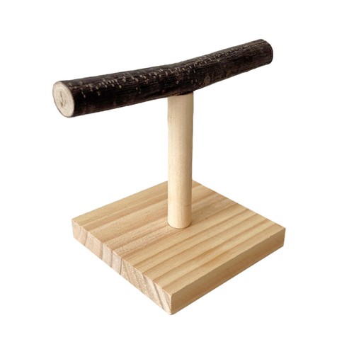 Parrot stand perch - parrot, bird