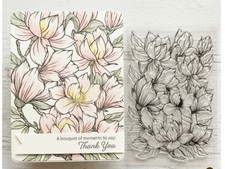 Clear Stamp  6" x 4" -