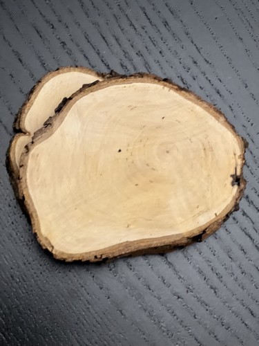10pcs wood slices round - 10pcs,