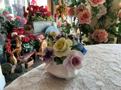 Radnor bone china - bone,