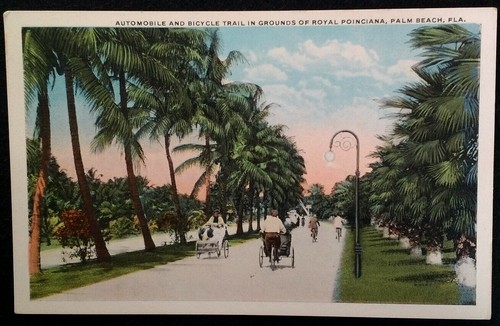 Palm beach florida - , postcard