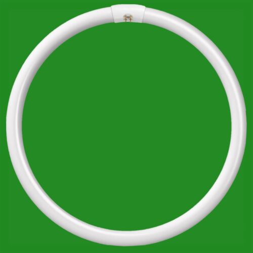 40w g10q pin t9 round - 4,