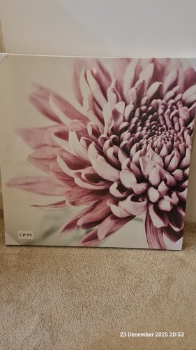 Set pink chrysanthemum - 2,