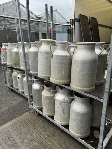 Milk churn french 25 litres - milk,