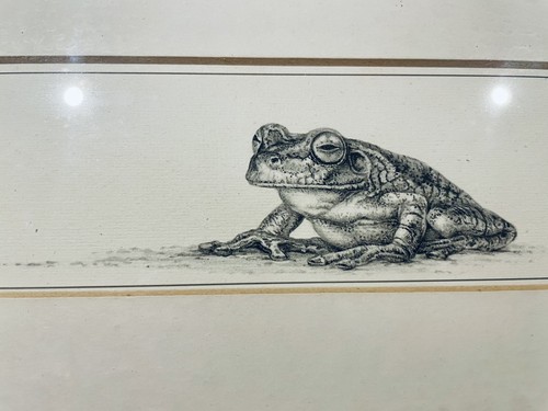 Gary hodges tree frog the - gary,