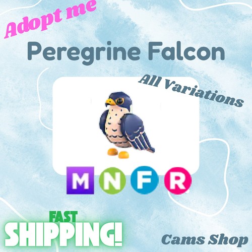Peregrine falcon all - peregrine, falcon-all