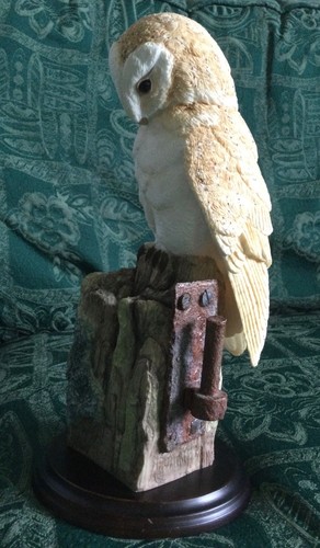 Beautiful barn owl fence - barn, on