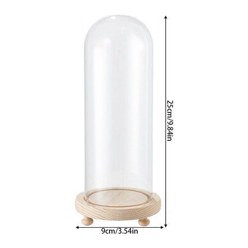 Clear glass dome with - dome,