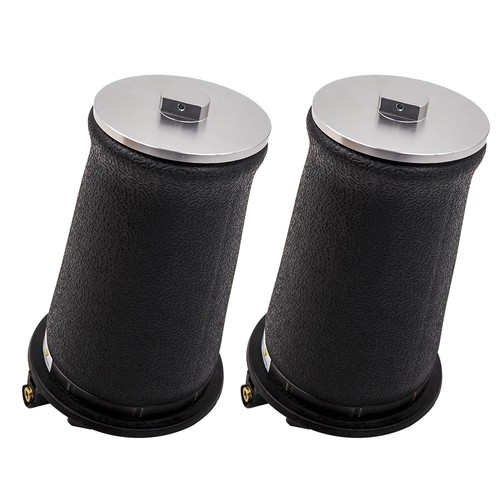 Pair rear air - suspension, sping