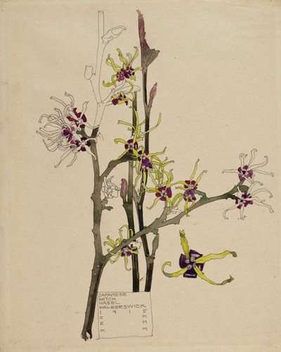 Charles rennie mackintosh - charles,