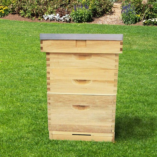 Langstroth beehive new - beehive,