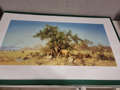 David shepherd pencil signed - shepherd,
