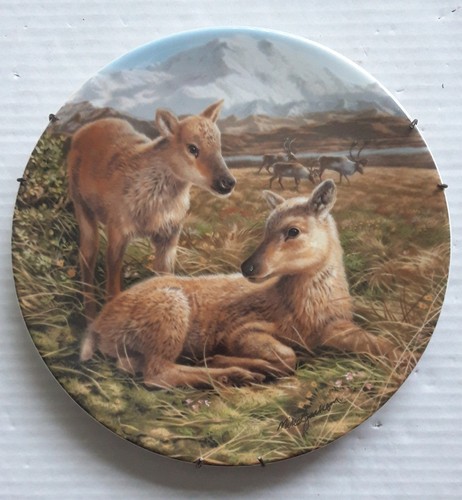 Fine bone china decorative - bone,