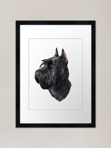 Giant schnauzer black beauty - black,