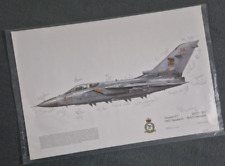 Squadron Print Tornado F3