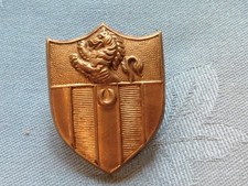 Sir Roger Manwood School Officer Training Corp cap badge.