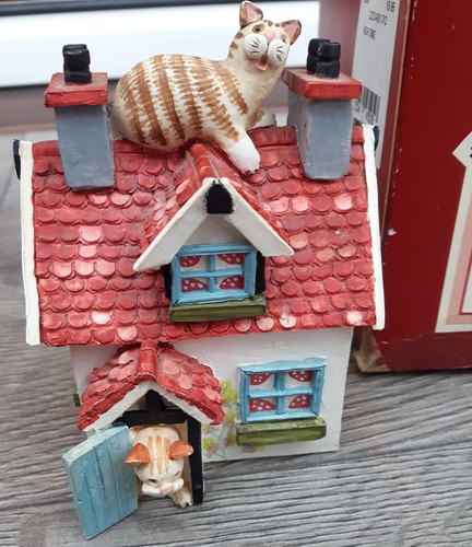 Colour box peter - colour, cats